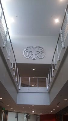 3D Signs & Dimensional Lettering